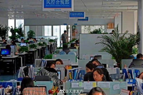 中企云鏈 以創(chuàng)新金融科技服務(wù)安心扎根，以信息技術(shù)咨詢服務(wù)舒心發(fā)展