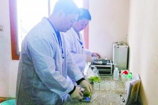 四川試行食用農(nóng)產(chǎn)品批發(fā)市場農(nóng)殘檢測室制度 保障“舌尖上的安全”