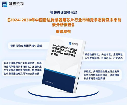 2024年中國雷達傳感器用芯片行業(yè)市場全景調(diào)查及投資前景研究報告